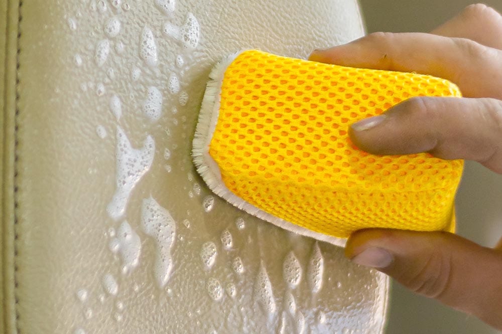 Scrub Ninja - Interior Scrubbing Sponge (Regular)